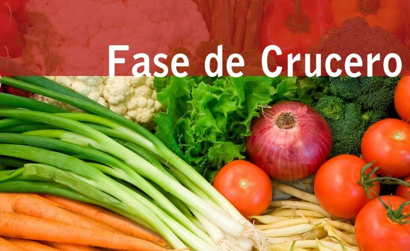 Fase Crucero Dukan