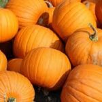 La calabaza, buena para cualquier dieta