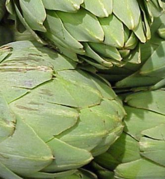 Rebaja 3 Kilos en 3 Días con esta Dieta de Cura Depurativa Rebaja 3 Kilos en 3 Días con esta Dieta de Cura Depurativa