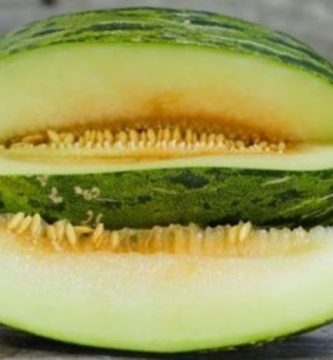 Adelgaza disfrutando esta crema verde de melón.