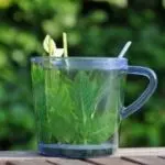 Gran Adelgazante y Fresco Sabor – Infusión Aromática