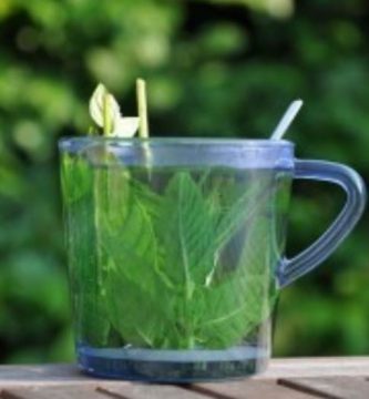 Gran Adelgazante y Fresco Sabor – Infusión Aromática