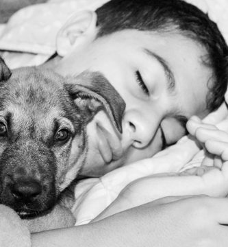 Eficaz Infusión Para Adelgazar Mientras Duermes