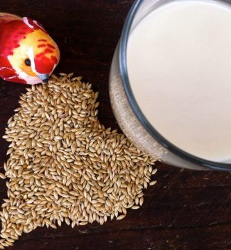 Desayuna o Cena estos 2 Batidos para Adelgazar Rápidamente Desayuna o Cena estos 2 Batidos para Adelgazar Rápidamente